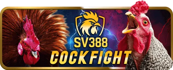 Người chơi đang nghiên cứu chiến lược game tại pau88 nhà cái